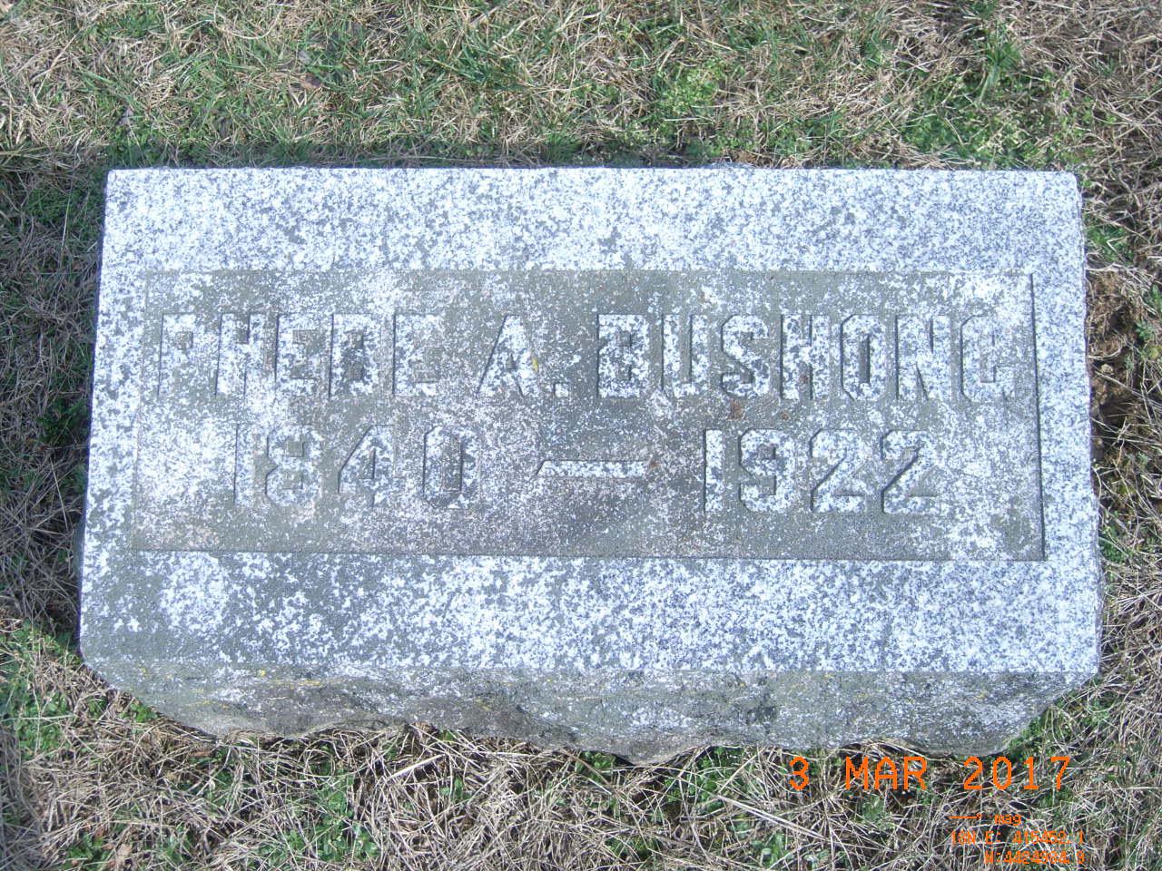 B24.jpg