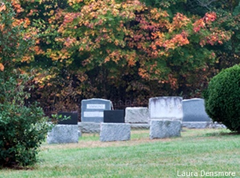 Gravestones among autumn trees