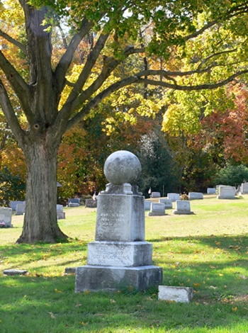 Monument beneath a large tree
